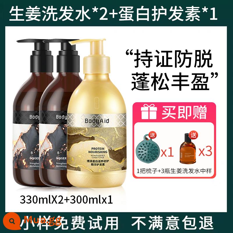 [3 chai] Dầu gội bodyaid bồ kết lá gừng chống rụng tóc bồng bềnh Venus khuyên dùng 315 - Dầu gội gừng 330ml*2 chai + dầu xả protein 300ml*1 chai