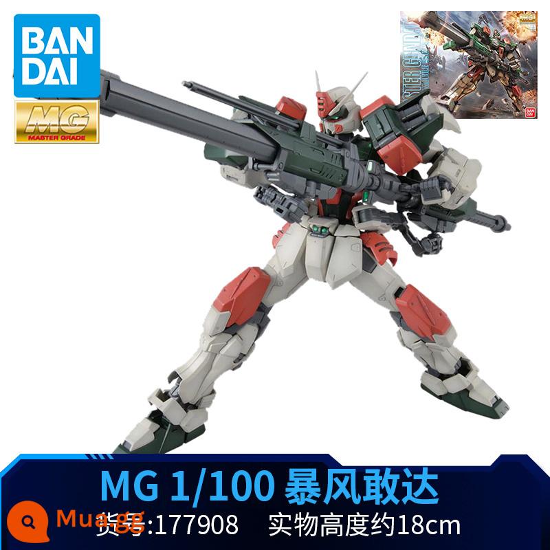 Mô hình lắp ráp Bandai Gundam MG 1/100 Air Combat Strike Assault Gundam Holy Shield Lightning Storm Duel - Bão Bão HGD-177908