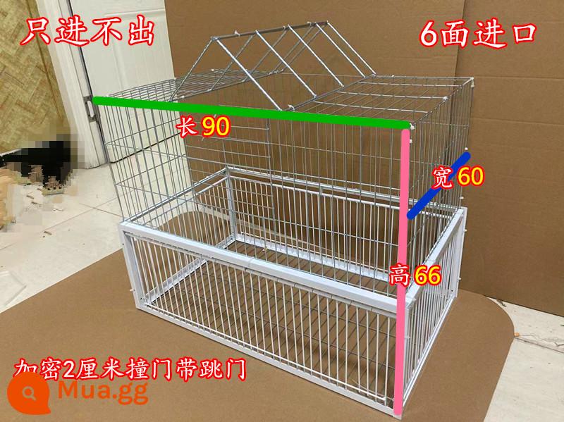 Bồ câu đập cửa Lồng cửa chủ động bồ câu đập cửa Lồng sắt bồ câu chỉ vào được chứ không nhảy ra được lồng trời rơi Lồng đập cửa cửa tự động - màu xanh lợt