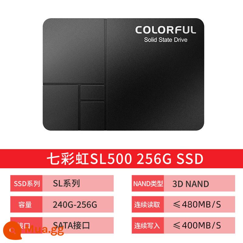 Ổ đĩa trạng thái rắn cho máy tính để bàn SSD SL500 512G 500G đầy màu sắc Giao diện SATA3 2,5 inch - SL500 256GB