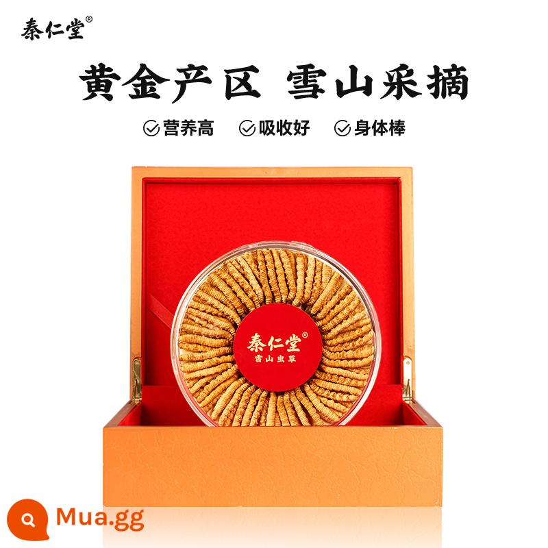 Qin Rentang 2022 Cordyceps chính thức hàng đầu cửa hàng tươi 10g hàng khô Cordyceps chính hãng hộp quà tặng Tây Tạng - 3 que/g [20g/60 que] Ưu tiên + Tặng 5 que