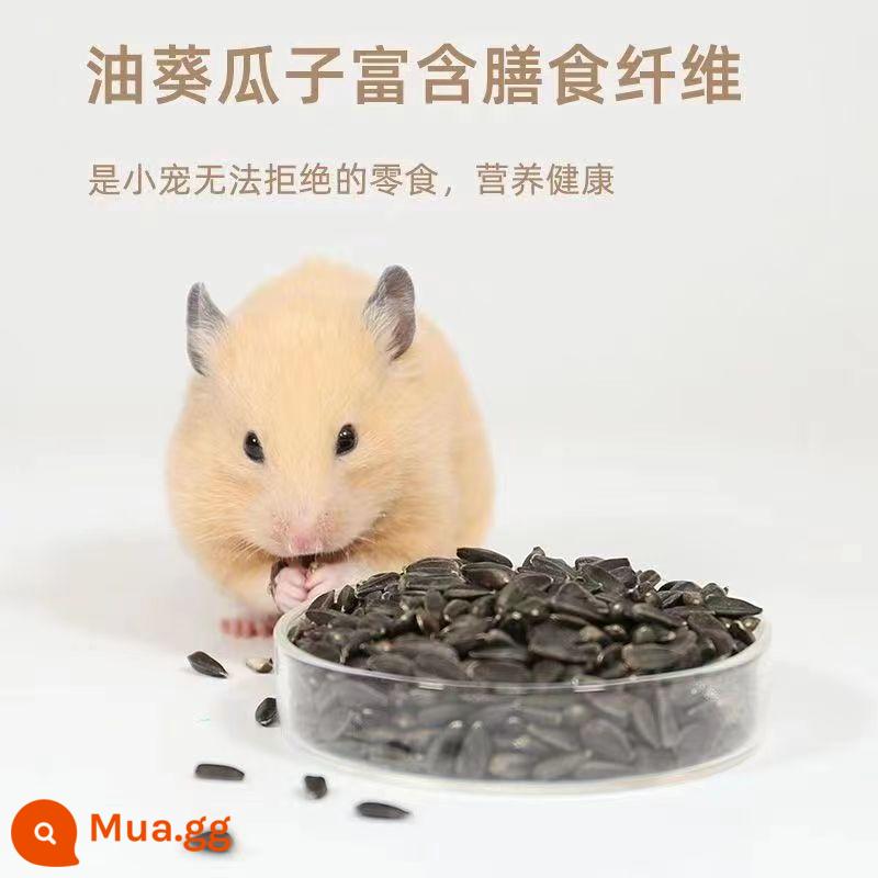 Hamster mùn cưa cát nước tiểu vàng nhỏ lụa vàng gấu trúc chinchilla đặc biệt mùn cưa bào giấy bông chăn ga gối khử mùi không bụi nguồn cung cấp mùa hè - 5 pound mùn cưa cao cấp [bao gồm 30 gram dầu hướng dương]