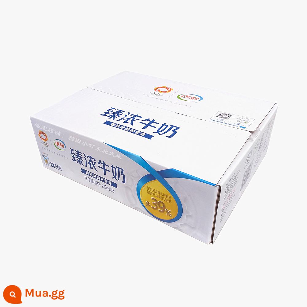 Sữa ăn sáng Yili sữa đặc nguyên chất béo cao cấp 230ml * 16 túi cả hộp bữa sáng giá đặc biệt protein chất lượng cao - [1 hộp] Sữa Yili Zhencong 230mlX16 túi