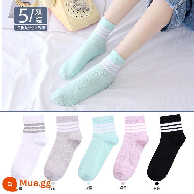 Vớ Langsha vớ ống giữa của phụ nữ mùa xuân và mùa thu vớ cotton mỏng màu đen vớ cotton nguyên chất vớ cotton ống dài mùa hè vớ mùa đông của phụ nữ - 318[5 đôi] [Bốn Mùa] Xám nhạt 1 xanh nhạt 1 trắng 1 đen 1 tím 1