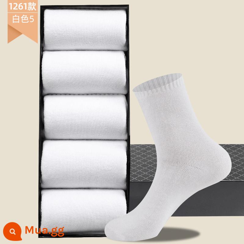 Vớ Langsha nam cotton nguyên chất mùa thu đông dày giữa ống Plus nhung ấm bông tất ống dài khăn sàn tất - Nam 1261丨Trắng 5 đôi