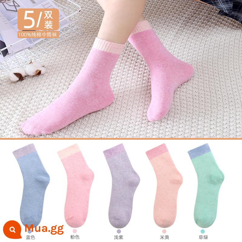 Vớ Langsha nam cotton nguyên chất mùa thu đông dày giữa ống Plus nhung ấm bông tất ống dài khăn sàn tất - Nữ 2078丨 Xanh lam 1 Hồng 1 Tím nhạt 1 Màu be 1 Xanh cỏ 1