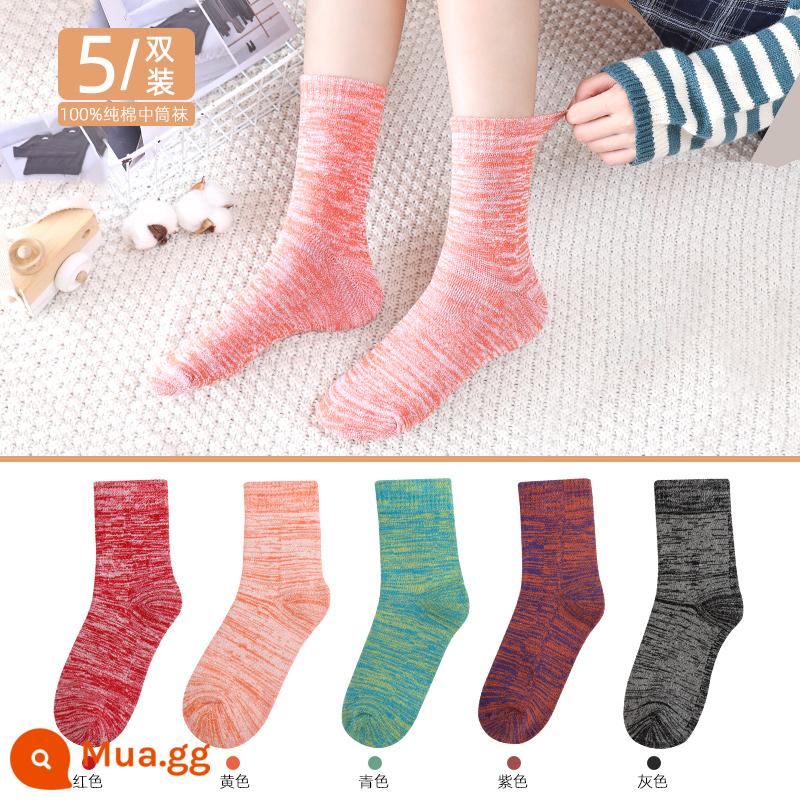 Vớ Langsha nam cotton nguyên chất mùa thu đông dày giữa ống Plus nhung ấm bông tất ống dài khăn sàn tất - Nữ 2077丨Đỏ 1 Vàng 1 Lục lam 1 Xám 1 Tím 1