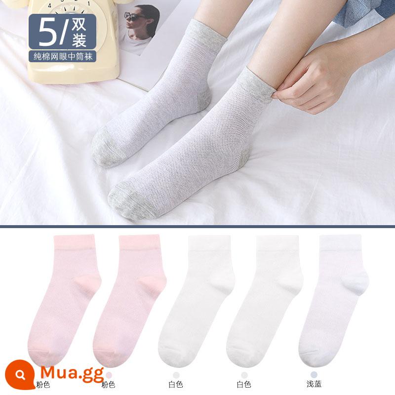 Vớ Langsha vớ ống giữa của phụ nữ mùa xuân và mùa thu vớ cotton mỏng màu đen vớ cotton nguyên chất vớ cotton ống dài mùa hè vớ mùa đông của phụ nữ - 289[5 đôi]Lưới mỏng mùa hè]Hồng nhạt 2 trắng 2 xanh nhạt 1