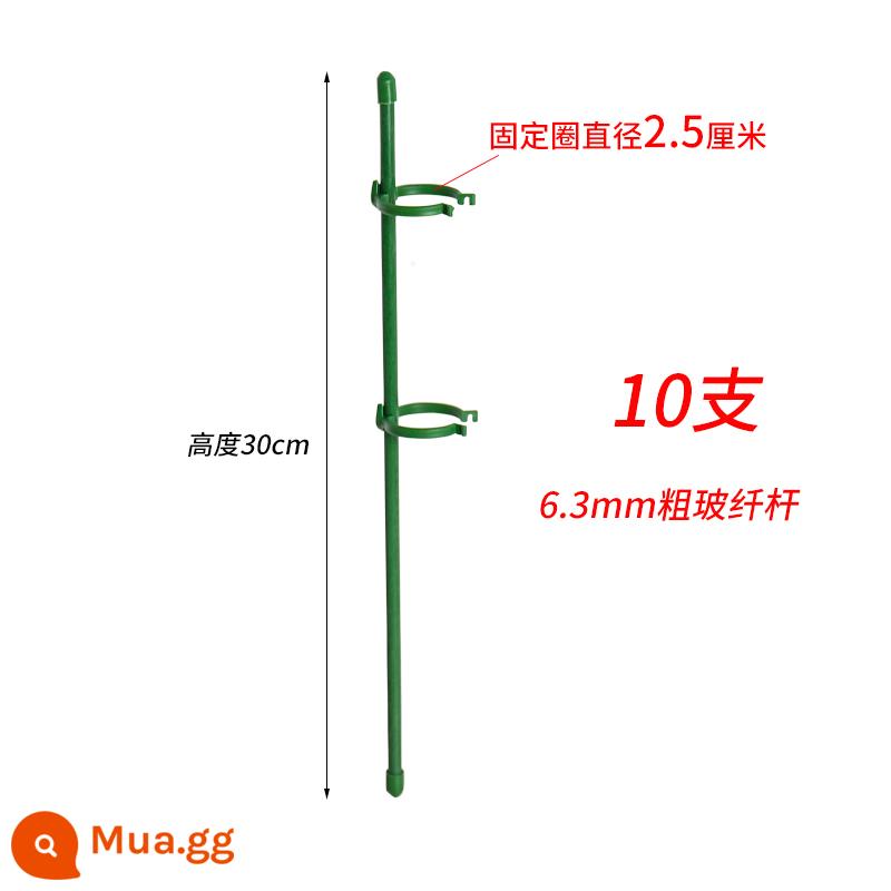 Vật Có Hoa Cố Định Chống Chỗ Ở Kệ Hoa Làm Vườn Hỗ Trợ Đơn Cực Sân Vườn Ngoài Trời Hoa Hồng Leo Cây Nho Cẩm Tú Cầu Hỗ Trợ Hoa Giá Đỡ - Cao 30 cm [10 chiếc] kèm 20 khóa cố định