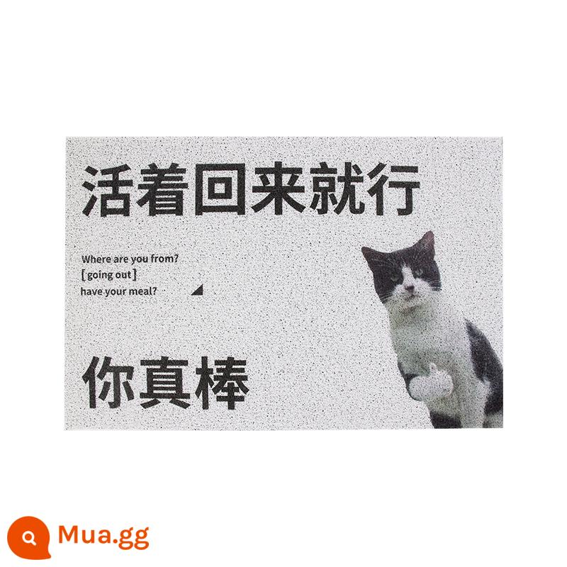 Bong Bóng Viên Lụa Vòng Tròn Sàn Ins Gió Động Vật Thảm Cửa Chống Trơn Trượt Loại Bỏ Bụi Thảm Chân Mục Nhập phòng Khách Nhà PVC - Chỉ cần sống sót trở lại