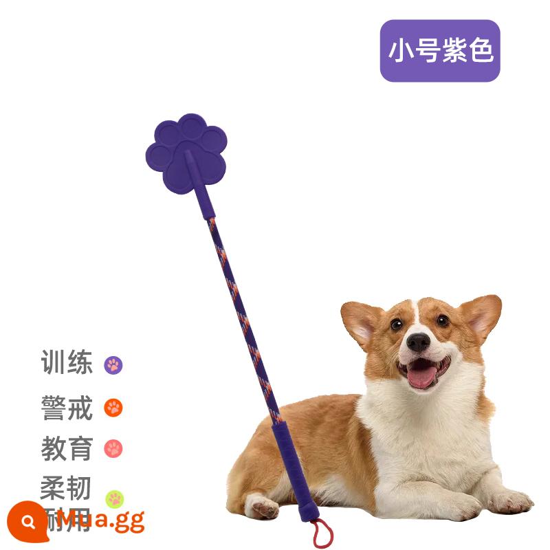 Dog hit dog stick thiết bị huấn luyện chó pet love beat roi huấn luyện dog stick dog hit stick training dog stick training đồ dùng cho chó - Màu tím nhỏ