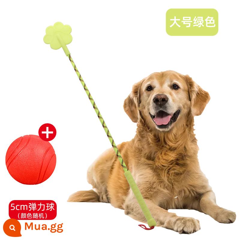 Dog hit dog stick thiết bị huấn luyện chó pet love beat roi huấn luyện dog stick dog hit stick training dog stick training đồ dùng cho chó - Bóng nhảy lớn + rắn màu xanh lá cây