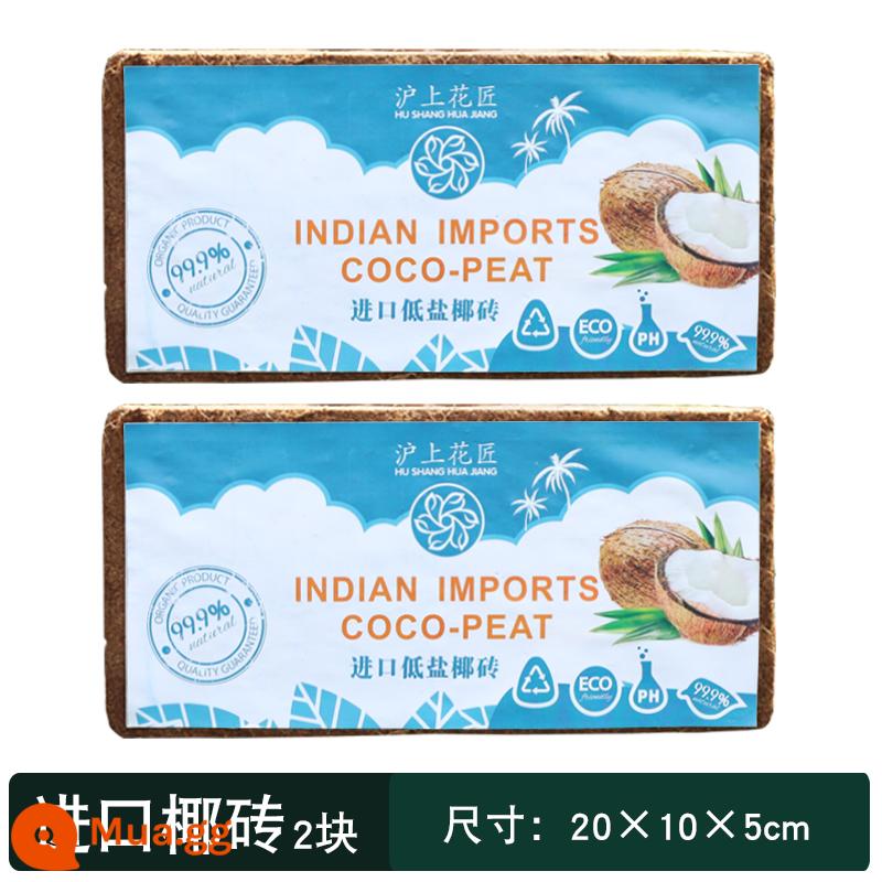 Chậu hoa nhựa hộ gia đình dày gallon nồi giỏ treo phong lan cây cảnh nhỏ thêm đường kính lớn gallon chậu hoa đặc biệt giải phóng mặt bằng - 2 viên gạch dừa [1 viên gạch có thể ngâm 7-9 lít]