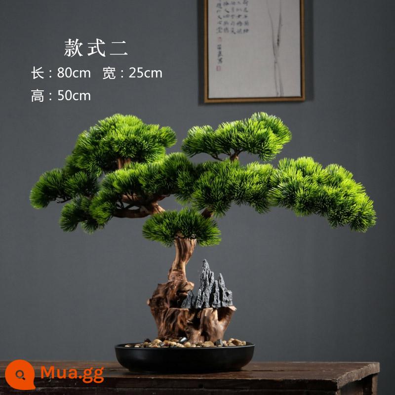 Thuja bonsai mô phỏng cây thông xanh chào đón cây bonsai đồ trang trí cảnh quan trang trí khách sạn cây mô phỏng hiên nhà cảnh quan nội thất - Cọc cũ kiểu hai