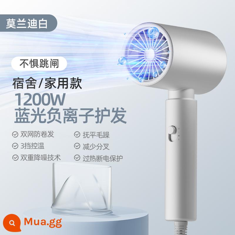 Trường trái cây SCHGUO máy sấy tóc hộ gia đình chăm sóc tóc ion âm công suất nhỏ 800W ký túc xá dành cho học sinh 500W im lặng - Màu trắng ngà (chăm sóc tóc ion âm ánh sáng xanh 1200w)