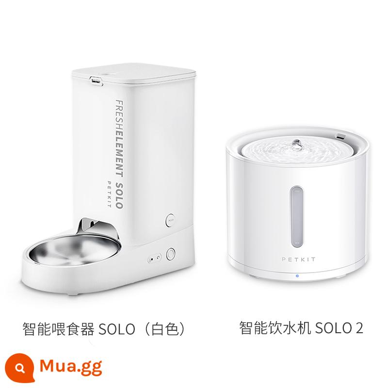 Xiaopizong Shuangquan Automatic Fooder Cat Water Water Machine Dog Chó thức ăn cố định thú cưng - Gói 1 (Bộ cấp liệu SOLO + bộ phân phối nước SOLO 2)