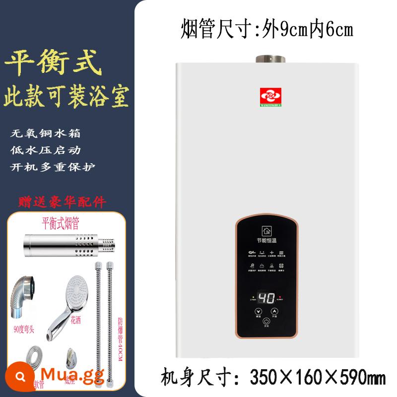 Máy nước nóng gas hộ gia đình cân bằng phòng tắm khí gas hóa lỏng khí cưỡng bức xả nhiệt độ không đổi xả trực tiếp - Loại cân bằng nhiệt độ không đổi 10 lít (model này có thể lắp đặt trong phòng tắm, model plug-in