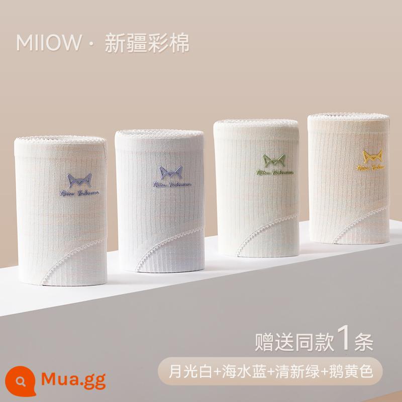 Quần Lót Catman Nữ Cotton Nguyên Chất Kháng Khuẩn Mùa Hè Mỏng Giữa Eo Liền Mạch Thoáng Khí Dễ Thương Quần Short Bé Gái Phong Cách Mới - Phong cách cổ điển [Mua 4 tặng 1, có sẵn 5 chiếc] Trắng ánh trăng + Xanh nước biển + Xanh tươi + Vàng ngỗng + Tặng 1 chiếc cùng kiểu