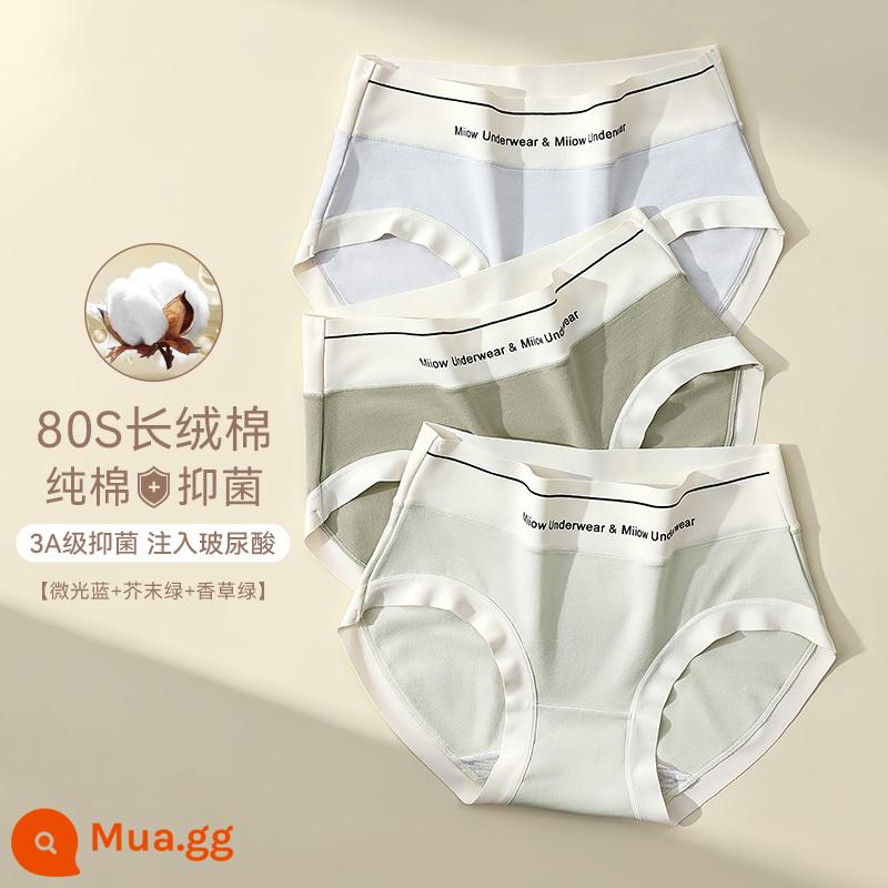 Quần lót liền quần Catman nữ cotton nguyên chất kháng khuẩn thể thao gió eo cao không hông quần đùi tam giác bé gái mới mùa hè - Màu xanh lung linh + xanh mù tạt + xanh vani [80 hạt bông Tân Cương + kháng khuẩn axit hyaluronic]