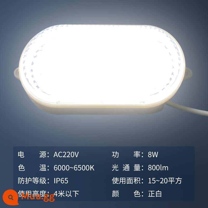 Đèn led kho lạnh kho xưởng nhà xưởng phòng thay đồ đèn chiếu sáng chuyên dụng Bồn tắm chụp đèn 3 lớp chống thấm nước chống ẩm chống cháy nổ - Tích hợp đèn trắng dương 8W, điện áp 220V, sử dụng trong phạm vi 10m2/cái