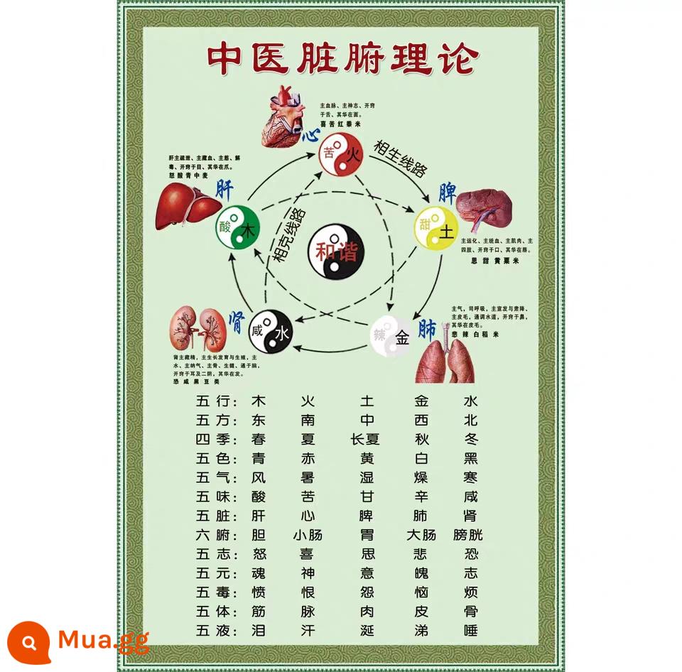 Biểu đồ treo tường văn hóa y học cổ truyền Trung Quốc mười tám áp phích sợ hãi chống mười chín áp phích tuyên truyền điều cấm kỵ tương thích của y học Trung Quốc áp phích treo tranh của nhà thuốc bệnh viện - Lý thuyết nội tạng TCM