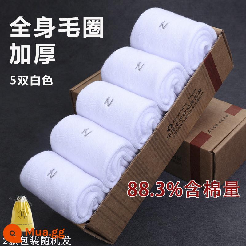 Tất nam mùa đông đến giữa bắp chân cotton dày dặn cộng với nhung khăn ấm tất dày mùa thu đông tất nam thấm hút mồ hôi và khử mùi - Dày đặc 5 đôi màu trắng khắp cơ thể