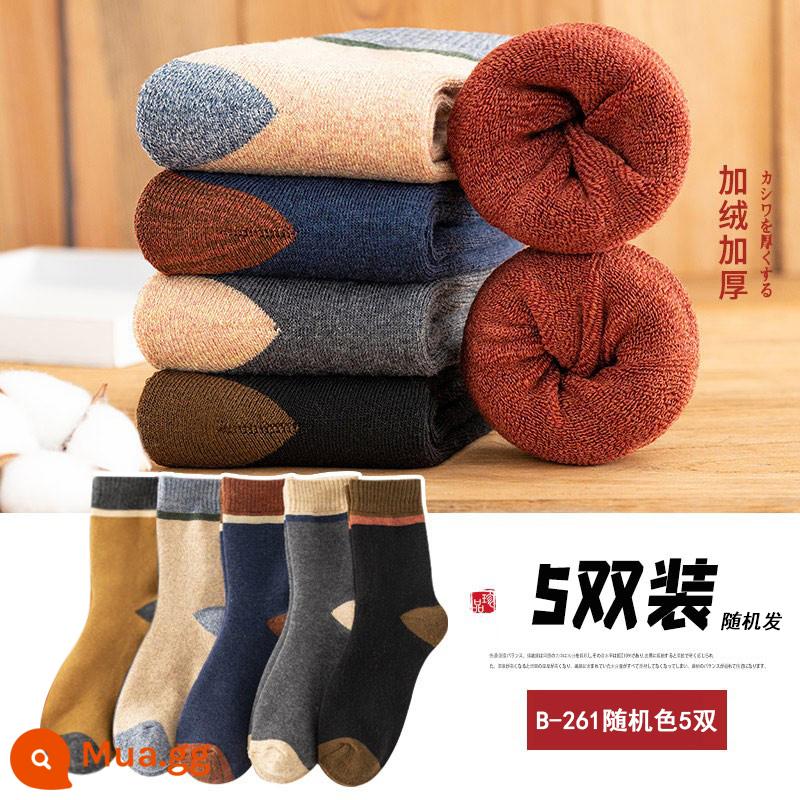 Vớ nam mùa đông cộng với nhung dày vòng tròn vớ cotton dài retro vớ dài mùa thu và khăn mùa đông tất - B-261 (5 đôi màu sắc ngẫu nhiên)