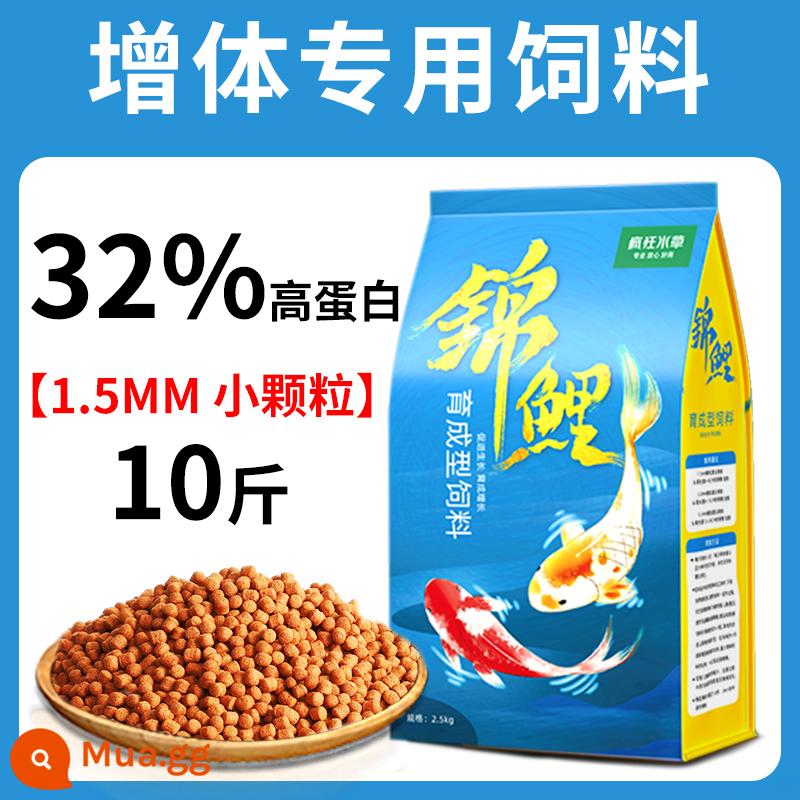 Thức ăn cho cá koi thức ăn cho cá tăng cường màu sắc cá vàng cá cảnh đặc biệt thức ăn cho cá chép thức ăn cho cá thức ăn hạt nhỏ nuôi cá koi nói chung - Thức ăn nuôi cá tăng cân 1.5mm 10kg