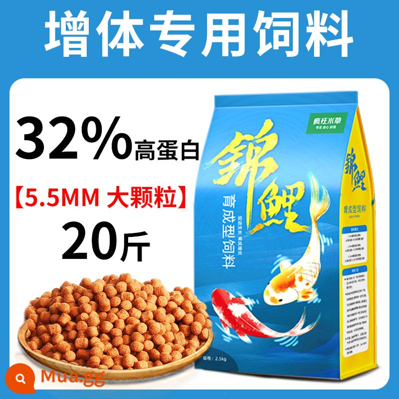 Thức ăn cho cá koi thức ăn cho cá tăng cường màu sắc cá vàng cá cảnh đặc biệt thức ăn cho cá chép thức ăn cho cá thức ăn hạt nhỏ nuôi cá koi nói chung - Thức ăn cho cá giống 5.5mm 20kg