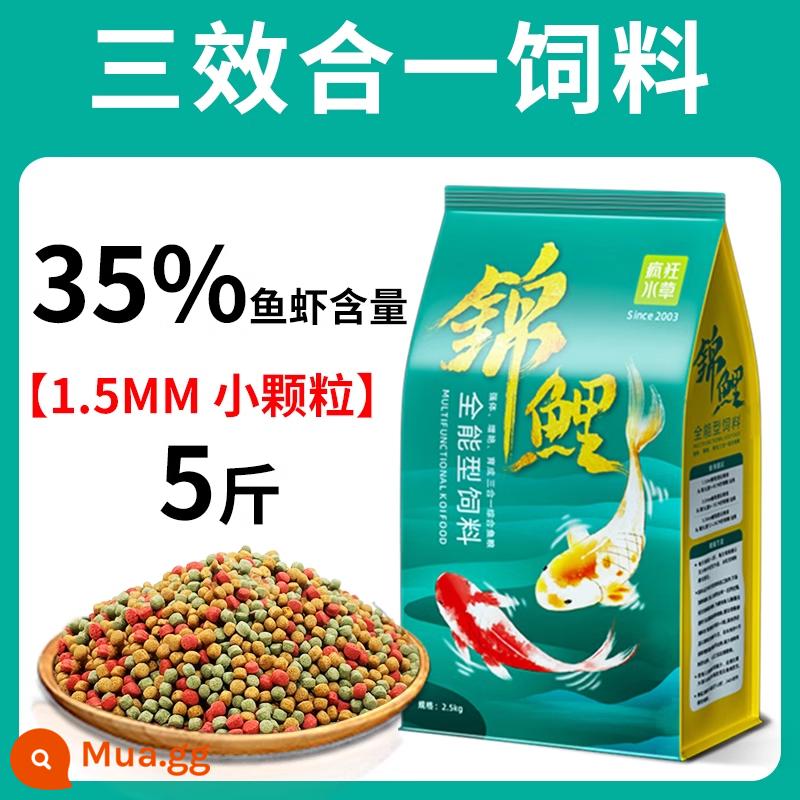 Thức ăn cho cá koi thức ăn cho cá tăng cường màu sắc cá vàng cá cảnh đặc biệt thức ăn cho cá chép thức ăn cho cá thức ăn hạt nhỏ nuôi cá koi nói chung - Thức ăn cho cá đầy đủ ba tác dụng 1,5mm 5 catties