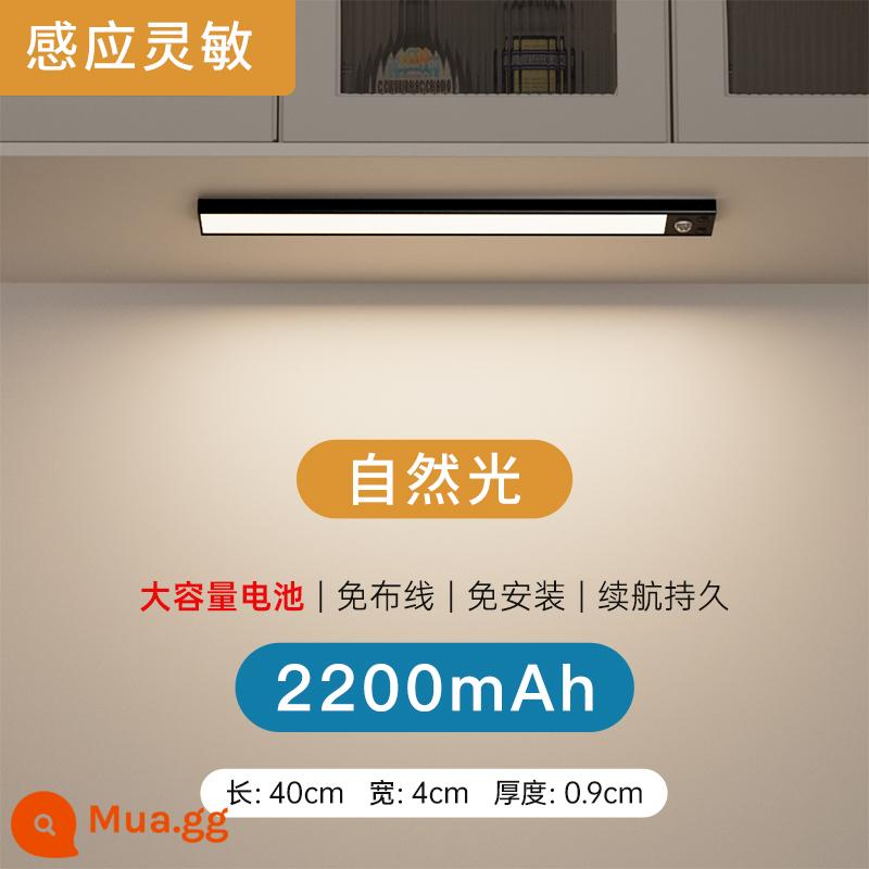 LED ánh sáng tủ tổng thể thông minh với cơ thể con người cảm ứng không dây tự dính có thể sạc lại nhà bếp tủ rượu tủ quần áo tủ giày thanh ánh sáng - [Đen] Tuổi thọ pin cao - Ánh sáng tự nhiên 40CM [cơ thể người + cảm giác ánh sáng + độ sáng không đổi + điều chỉnh độ sáng]