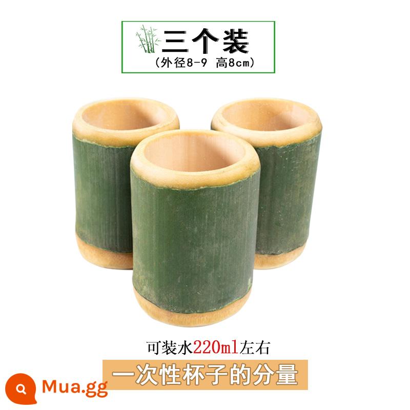 Ống tre tươi Nanzhu ống tre tự nhiên cốc gạo hộ gia đình hấp ống gạo bể sinh thái ban đầu cốc nước thương mại hiện đã được tùy chỉnh - Đường kính ngoài 8-9cm, cao 8cm, bộ 3 cái