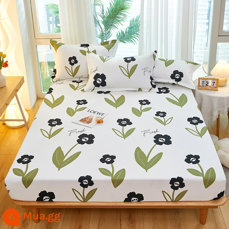 Túi trải giường bằng cotton dày dặn, ga trải giường bằng vải cotton một mảnh, nệm 1,8m, túi trải giường chống trượt 1,5 bộ ga trải giường trọn gói, bộ 3 món - Harukaze Juura