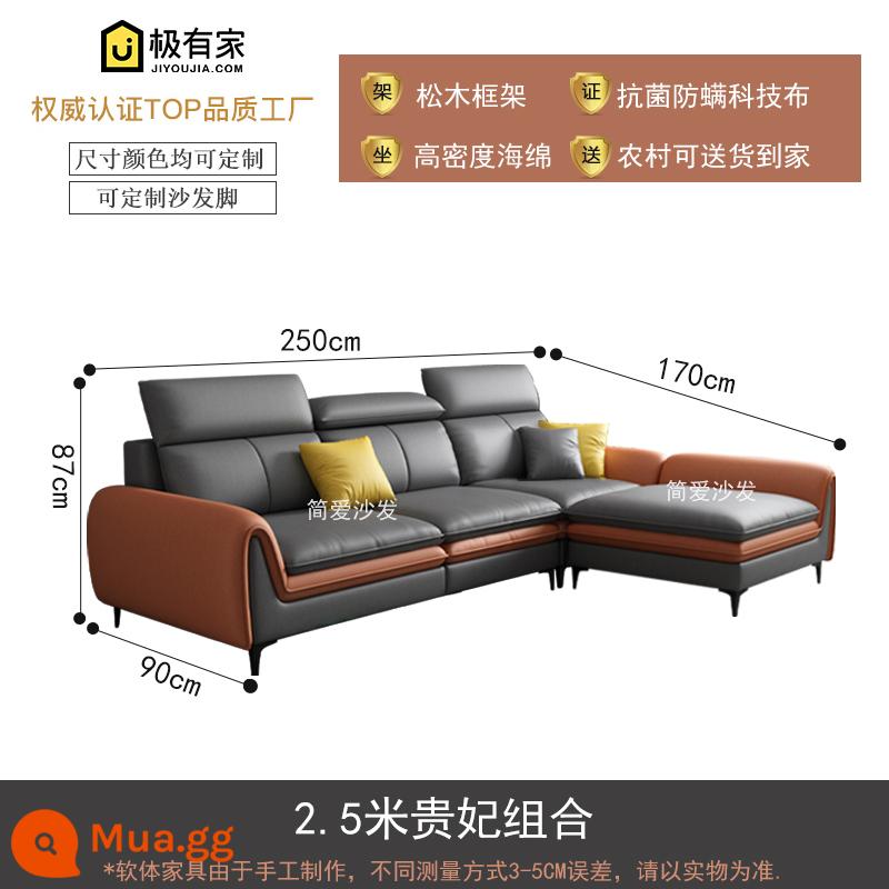 Rửa nano -Tech vải sofa sofa ánh sáng nordic sang trọng phòng khách hiện đại tối giản căn hộ nhỏ - 2,5 mét kết hợp phi tần hoàng gia