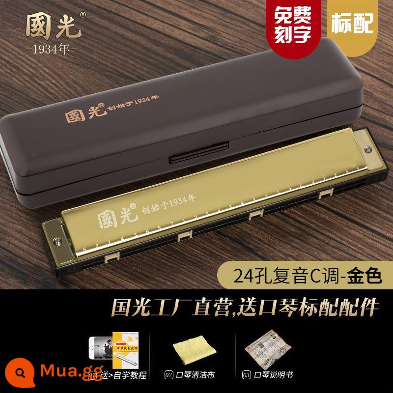 Đích thực Guoguang harmonica 24 lỗ đa âm C-tune mới bắt đầu học sinh trẻ em tự học mục cửa nhạc cụ đàn organ - Vàng đa âm 24 lỗ Guoguang [tiêu chuẩn gốc]