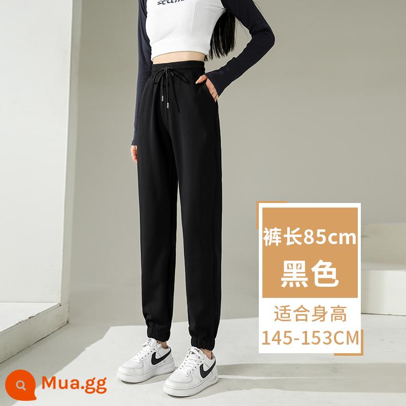 Quần cotton nữ mùa đông nhỏ hình quả lê quần chín điểm cừu nhung thể thao thu đông Plus nhung dày dặn quần thể thao - Quần xuân thu đen dài 85cm