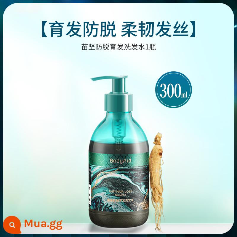 dầu gội bodyaid bo drop gừng chống rụng tóc tăng chắc tóc dầu kiểm soát chống rụng bông xù dầu gội dầu gội - Dầu gội chống rụng tóc Miaojian 300ml