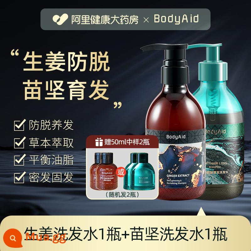 Bodyaid bồ kết lá gừng dầu gội chống rụng tăng tóc chắc tóc mọc chắc chân kiểm soát dầu gội mềm mượt - Gừng chống rụng tóc 330ml*1 chai + Miaojian chống rụng tóc 300ml*1 chai