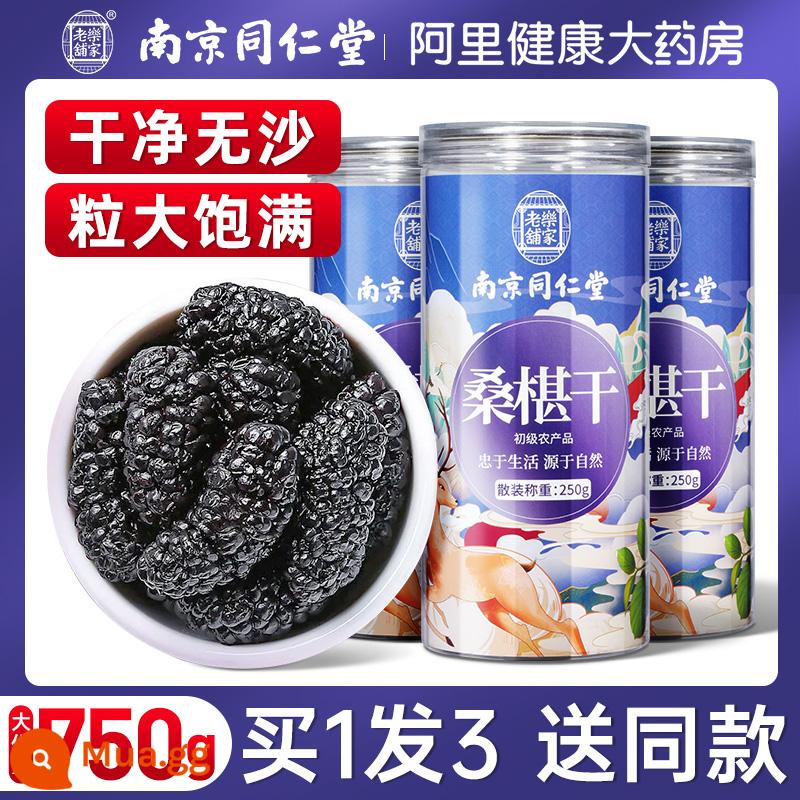 Trái cây khô dâu tằm Nam Kinh Tongrentang 500g dâu đen đặc biệt cửa hàng hàng đầu chính thức loại trà Tân Cương không rửa không cát - [Dâu tằm khô không cát] Mua 1 tặng 2, tổng cộng 750g