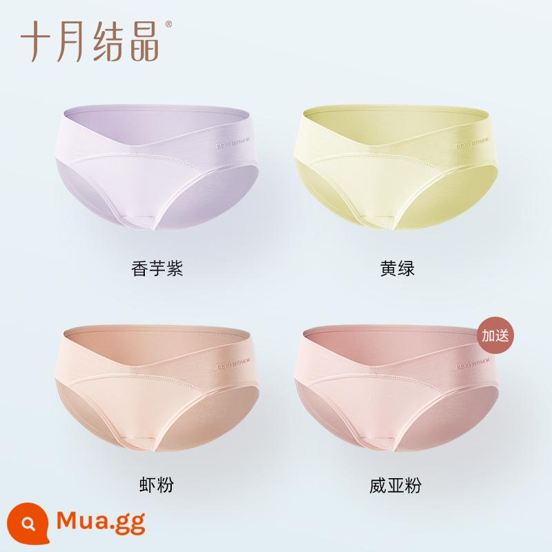 Quần lót nữ mang thai pha lê tháng 10 cotton nguyên chất cuối thai kỳ eo thấp hỗ trợ bụng thoáng khí đặc biệt cho giai đoạn đầu mang thai - Bông tinh khiết kháng khuẩn [tím khoai môn + xanh vàng + bột tôm + miễn phí bột Wia]