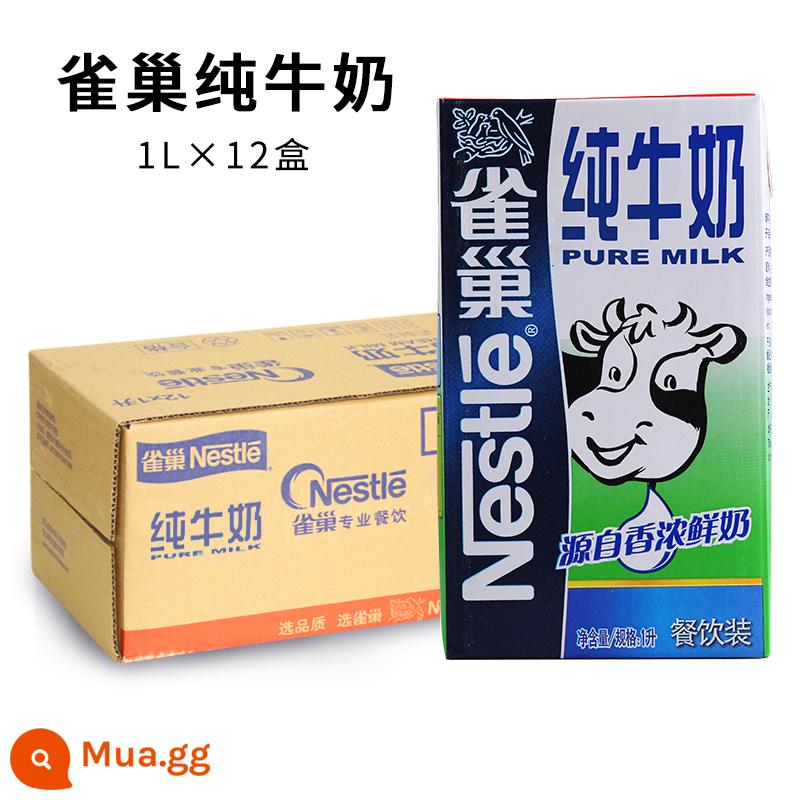 Sữa nguyên chất Nestlé Nestle 1L hộp đầy đủ sữa nguyên chất phục vụ thương mại cà phê latte art quán trà sữa đặc biệt - Sữa nguyên chất Nestlé 1L*12 hộp nguyên hộp