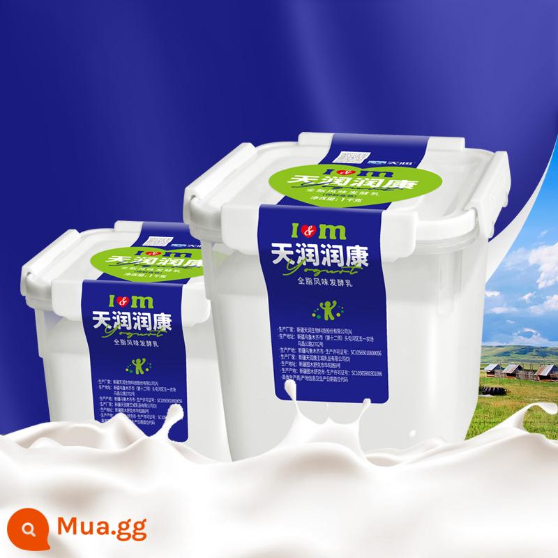 Ngày mới SF Giao hàng miễn phí! Sữa chua Tianrun Runkang thùng lớn 1kg Sữa chua già Tân Cương hương vị chính gốc xô chua miễn phí vận chuyển - [Runkang 1kg] 2 thùng