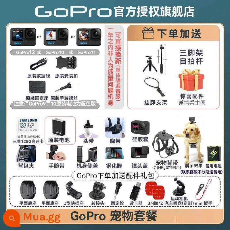 Đảm bảo giá tại cửa hàng hàng đầu đôi 12 GoPro10/9 camera thể thao chống nước chống rung đi xe quay video trực tiếp selfie dog 11 - Gói thú cưng dễ thương GoPro, tư vấn dịch vụ khách hàng và tận hưởng giảm giá