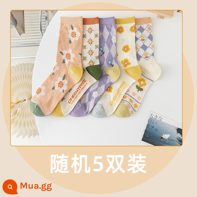 Vớ vào mô hình mùa thu và mùa đông 2022 Mid -cotton Cotton Long Desss Ladies Loms Bông vào mùa đông dày lên - [5 cặp ngẫu nhiên] 7256