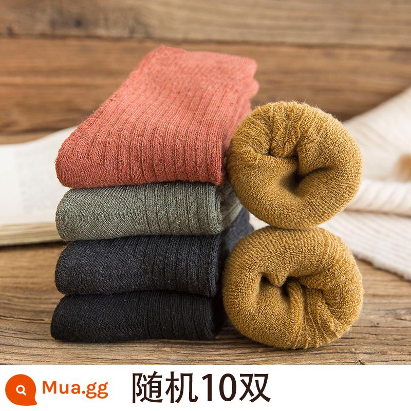 Tất dành cho nữ trong mùa thu đông tất cotton dài ấm áp bằng nhung dành cho nữ Tất dài đến giữa bắp chân cho nữ Đôi tất có đáy khăn bông mùa đông - [10 đôi] 2301 10 đôi ngẫu nhiên