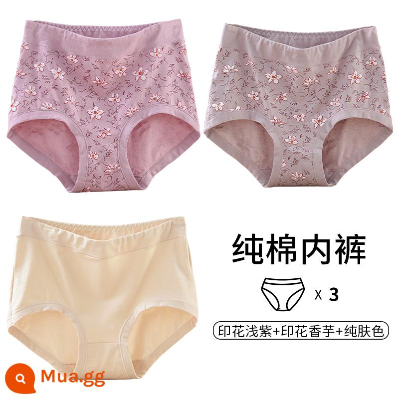 Quần lót của mẹ vải cotton nguyên chất lưng cao cỡ lớn đồ lót tam giác dành cho người trung niên và người già dành cho phụ nữ và người già quần short cotton rộng rãi - [3 món] In tím nhạt + in khoai môn + màu da thuần