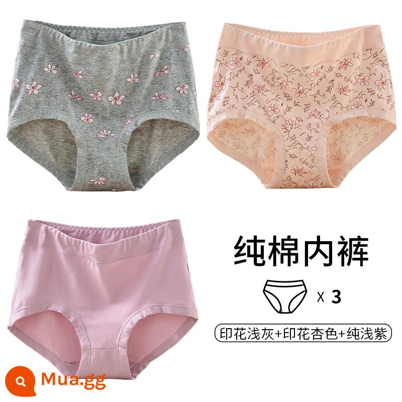 Quần lót của mẹ vải cotton nguyên chất lưng cao cỡ lớn đồ lót tam giác dành cho người trung niên và người già dành cho phụ nữ và người già quần short cotton rộng rãi - [3 món] In màu xám nhạt + In hoa mai + Tím nhạt thuần khiết