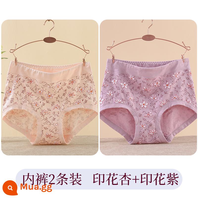 Quần lót của mẹ vải cotton nguyên chất lưng cao cỡ lớn đồ lót tam giác dành cho người trung niên và người già dành cho phụ nữ và người già quần short cotton rộng rãi - [2 món] In hoa mai + in tím