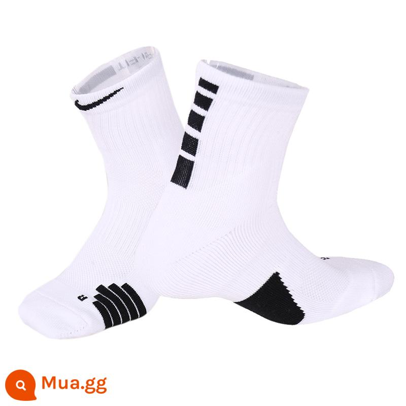 Vớ NIKE Nike Vớ Nam Vớ Nữ Khăn Đáy Tập Bóng Rổ Ống Giữa Elite Vớ Ống Cao Vớ Thể Thao SX7625 - SX7625-100