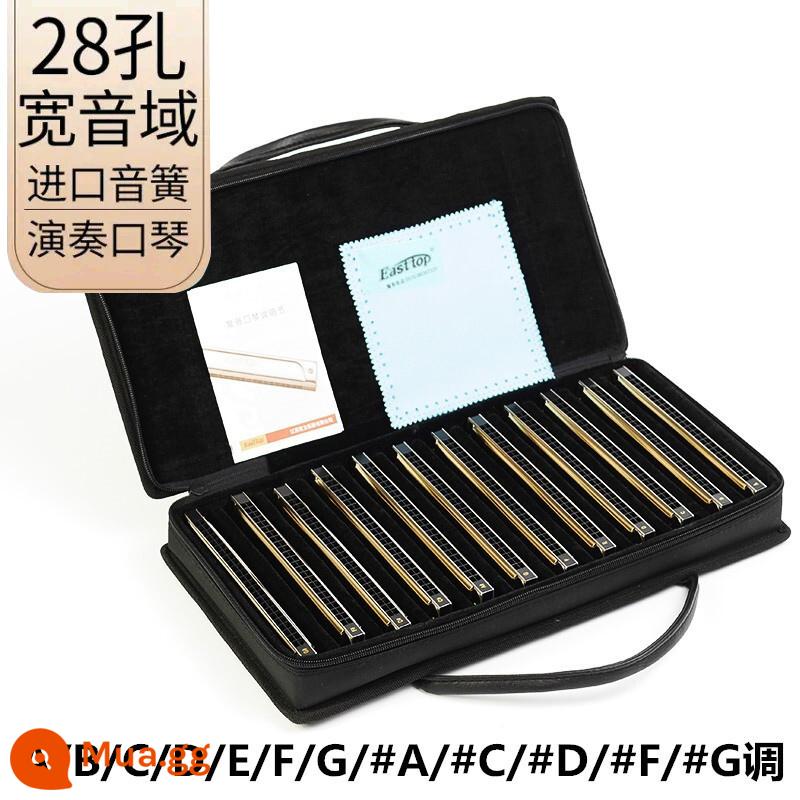 Kèn harmonica 28 lỗ 28 lỗ, kèn harmonica sậy phương Đông, cao cấp T28-1, đa âm đẳng cấp trình diễn chuyên nghiệp, giai điệu #CABDEFG - Vàng đa âm 28 lỗ [bộ 12 tông]